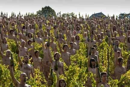 Desnudos entre viñedos