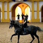 La visita a la Real Escuela Andaluza de Arte Ecuestre es muy recomendable para conocer la historia del origen y los cruces del caballo español