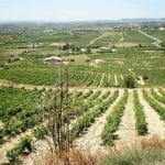 Rioja Alavesa, tierra de vino