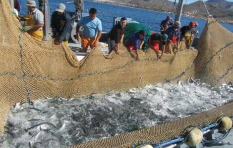 Los pescadores recogen las redes