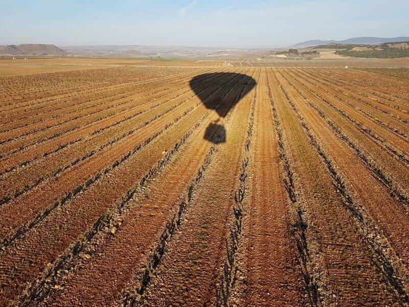 Sombra de un globo en el viñedo