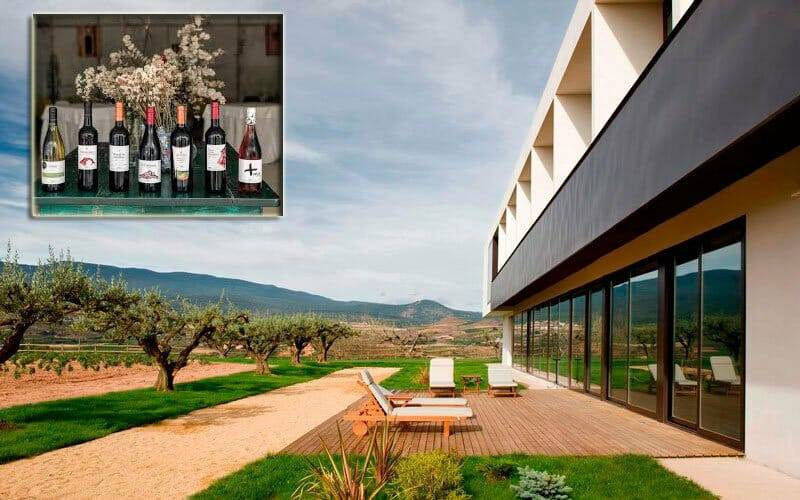 Hotel Bodega Spa Finca de los Arandinos y su colección de vinos