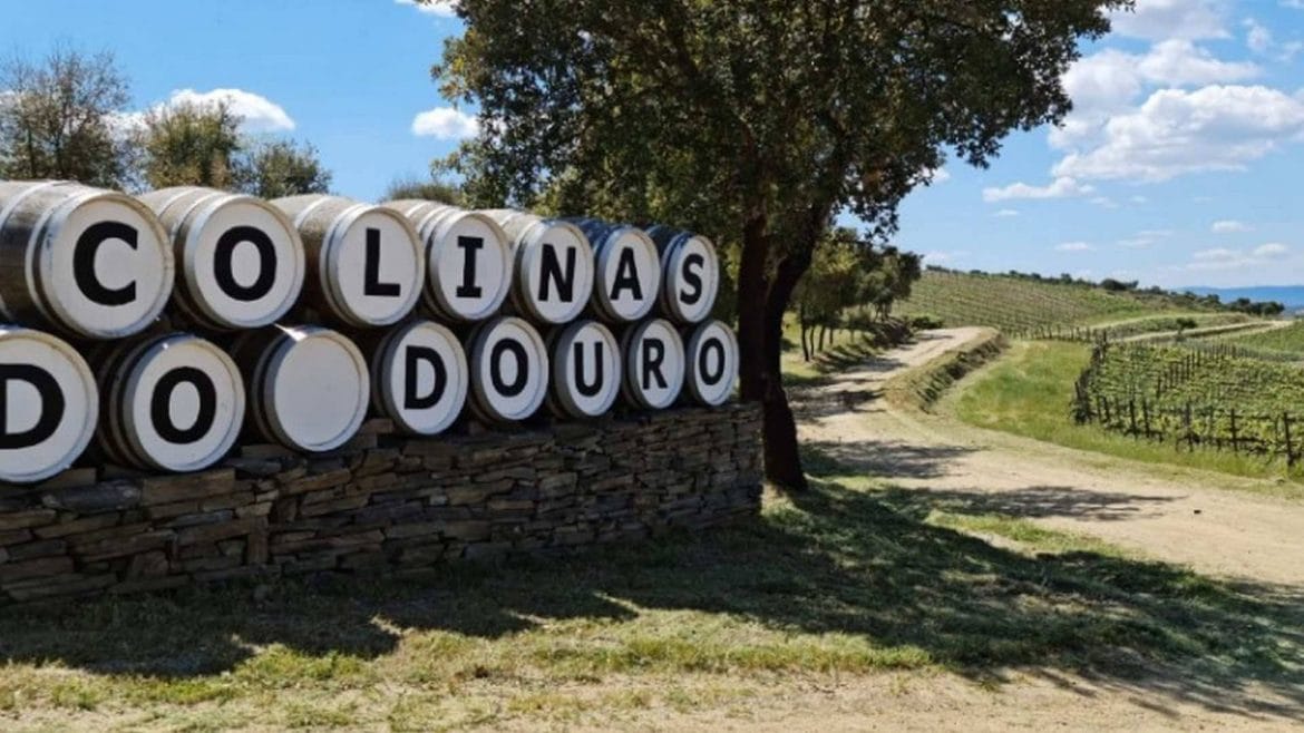 Colinas De Douro: los vinos portugueses que conquistan el mundo