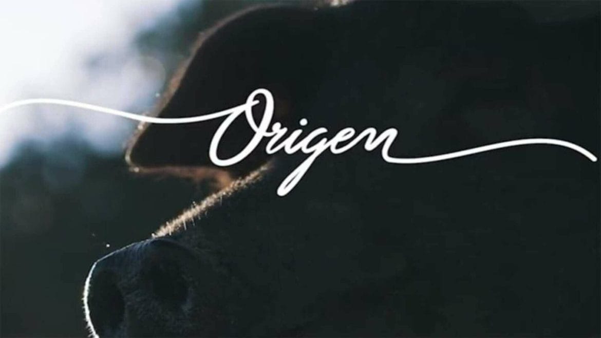 Origen, la nueva propuesta gastro de RTVE