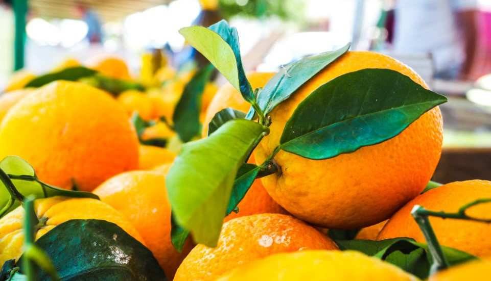 Las naranjas son una de las mejores fuentes de vitamina C.