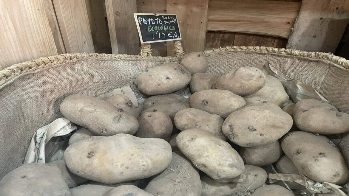 Patatas ecológicas producidas en la zamorana huerta de Cultivando con Alma