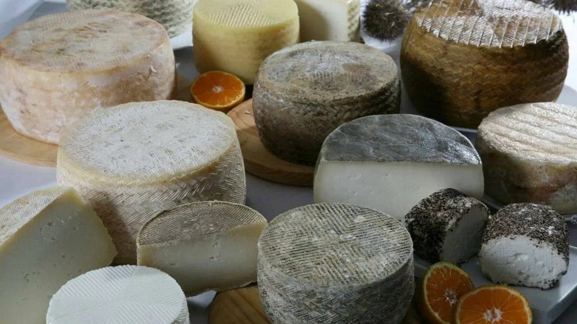 Ruta de los quesos de Málaga: desde Ronda a la Axarquía buscando las mejores queserías de la Costa del Sol