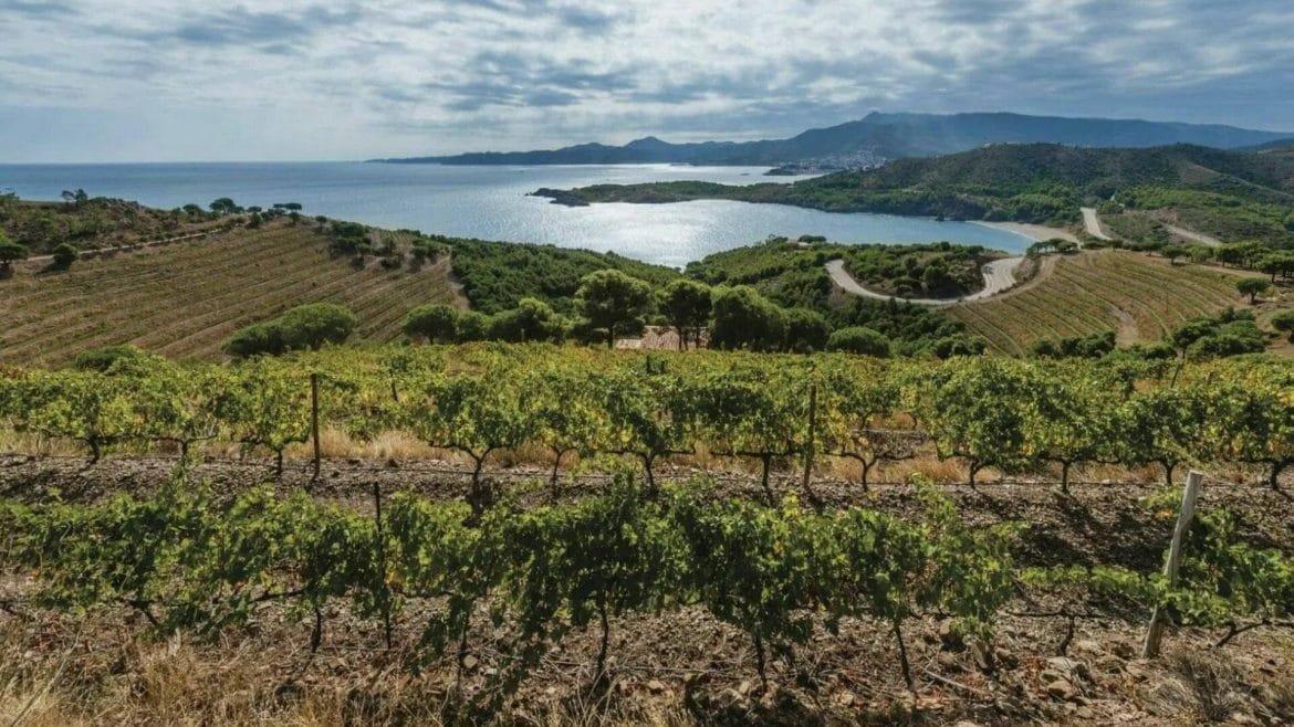 El Grand Tour de Cataluña: fin de trayecto entre anchoas, gambas, vinos, manzanas... la mejor gastronomía mediterránea
