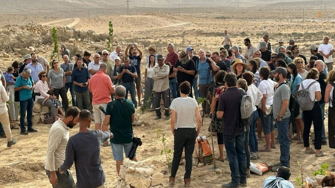Se recuperan antiguas variedades de uva en Israel