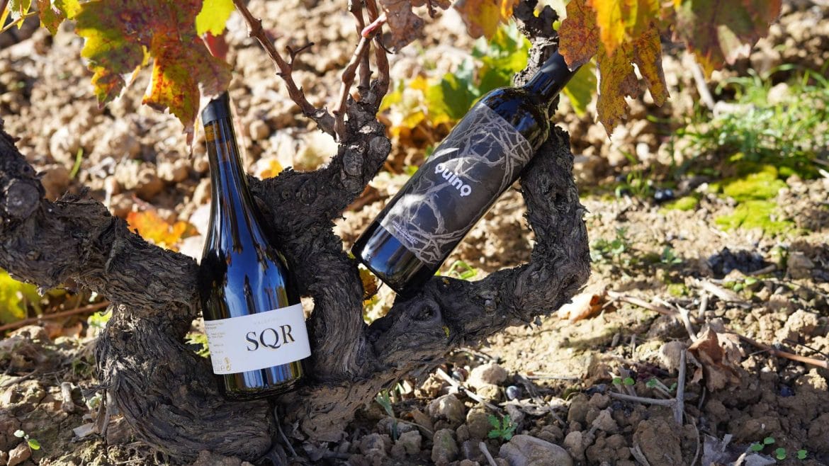 QUINQ y SQR: los vinos de altura esencia de la Ribera del Duero