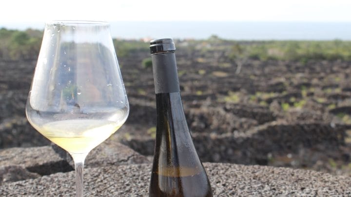 Los vinos de Pico: entre bodegas, lajidos y viñedos